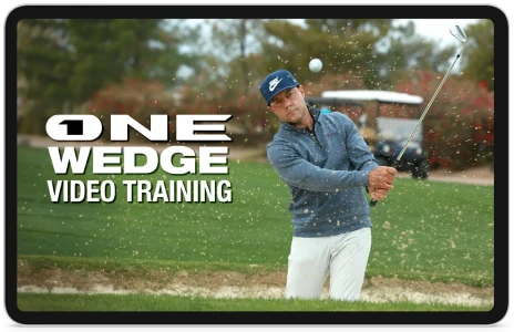 Image of One wedge video tips and shortcuts bonus