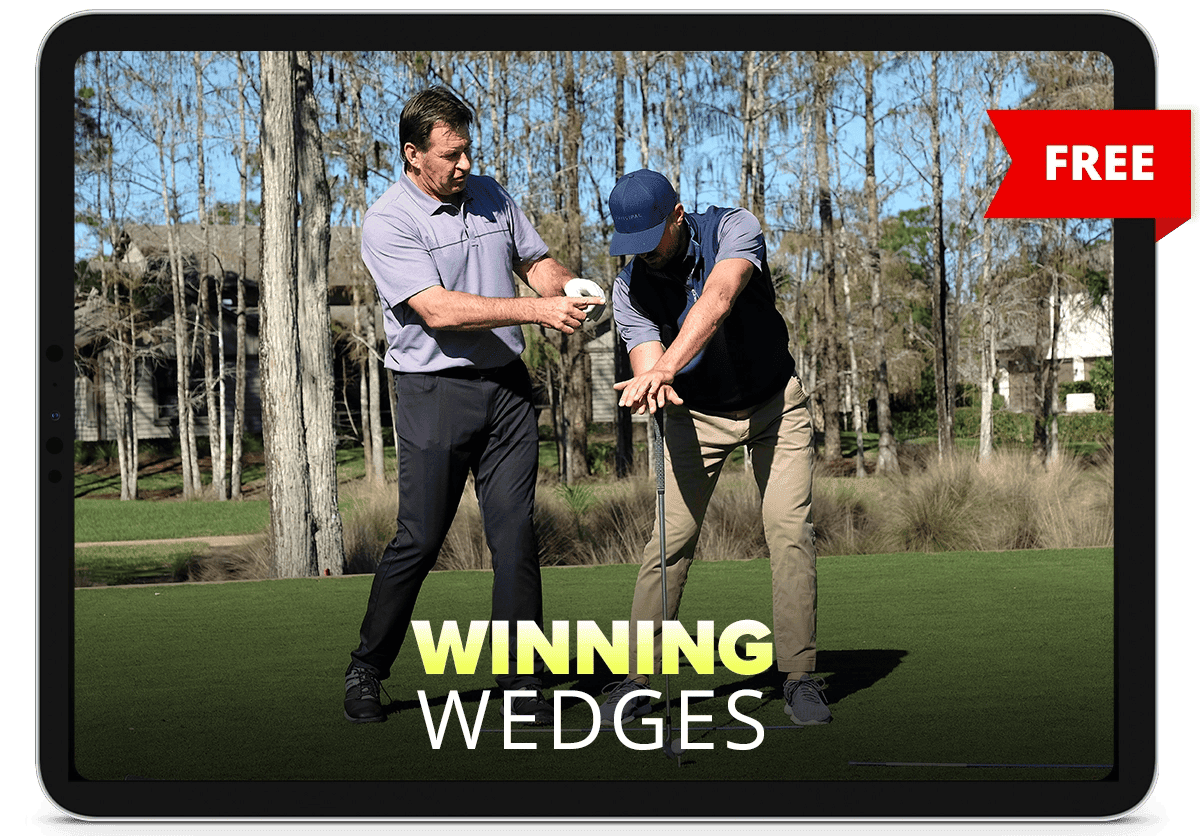 Image of the winning wedges bonus