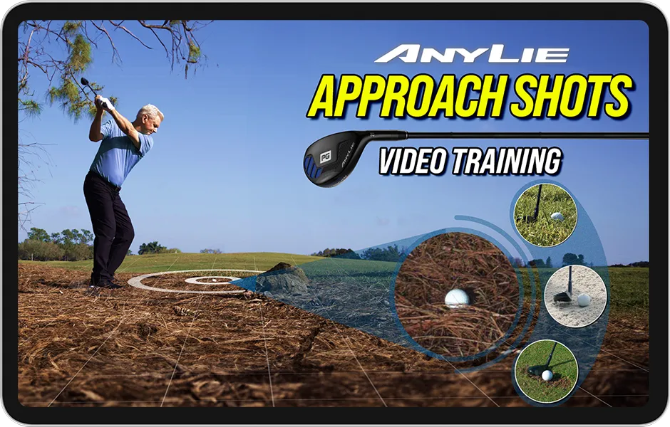 Image of Bonus 1 - AnyLie Approach Shots Video Training